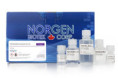 54300 FFPE RNA/DNA Purification Plus Kit ( 50 rxn )